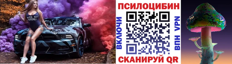 магазин  наркотиков  Мытищи  Галлюциногенные грибы GOLDEN TEACHER 