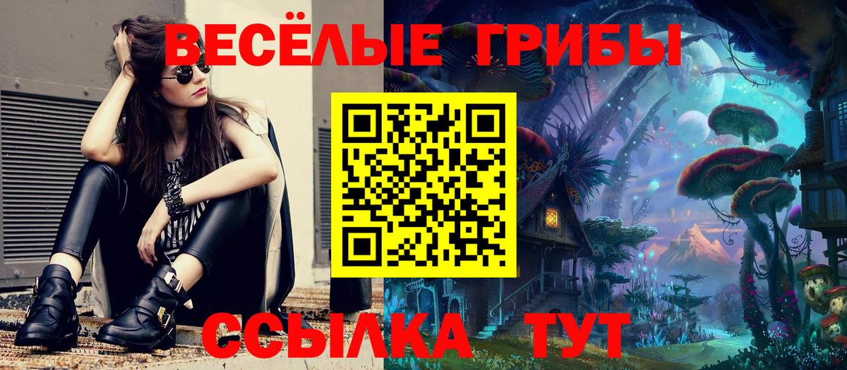 Псилоцибиновые грибы GOLDEN TEACHER Мытищи